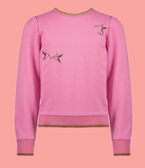 Bild Nono Pullover Kate Birds pink #5302